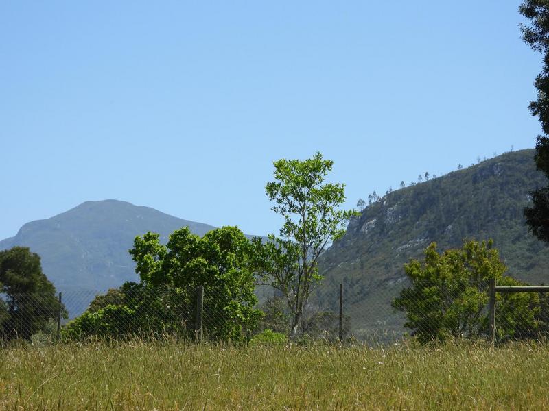 0 Bedroom Property for Sale in Hoekwil Western Cape